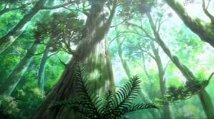mushishi
